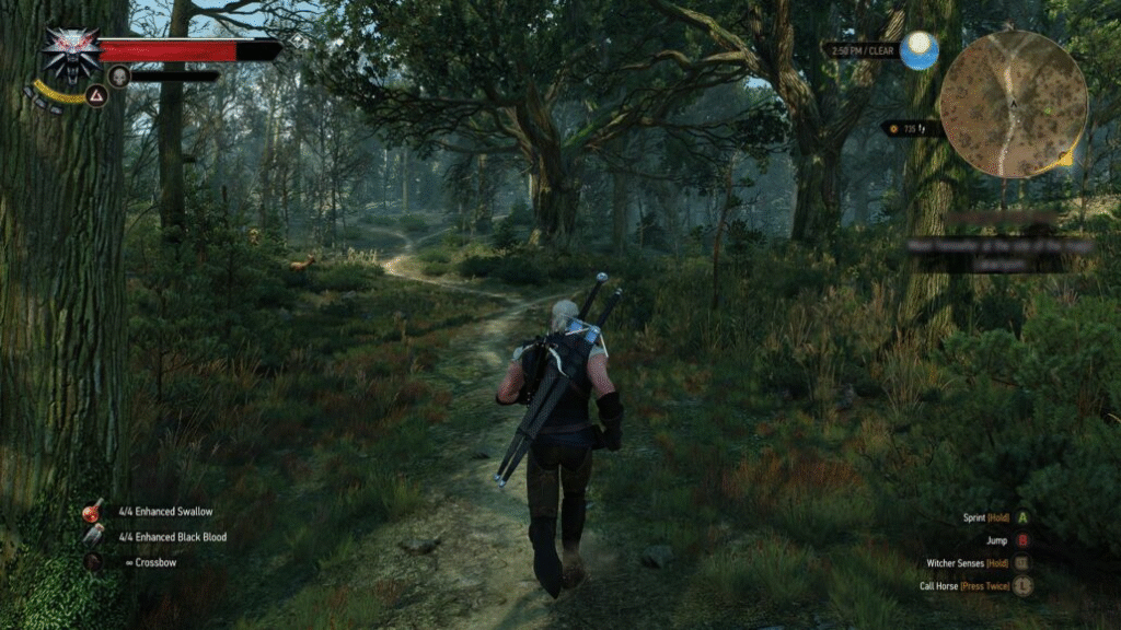 The Witcher 3: Wild Hunt