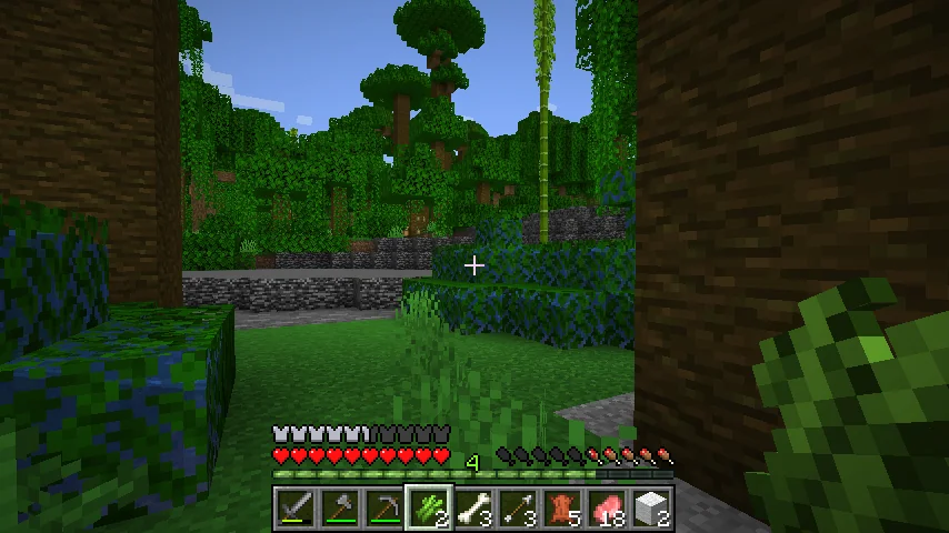 Minecraft